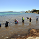 Image for article titled Conservationists rescue 150 dolphins from shallow waters, using a baby dolphin as a lure